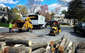 Best Fruit Tree Pruning  in Butler, IN